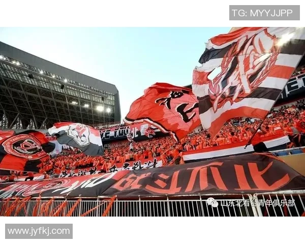 南京足球队的节奏解析与未来发展展望 南京足球队的节奏解析与未来发展展望