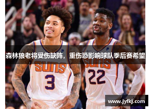 森林狼老将受伤缺阵，重伤恐影响球队季后赛希望